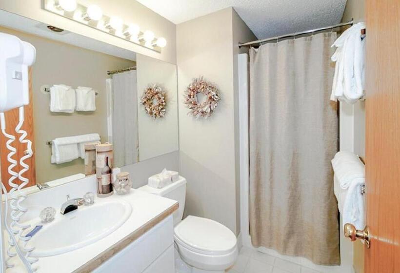 스탠다드 스튜디오, Rivergreen Resort