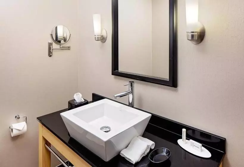 سوییت اجرایی, Springhill Suites By Marriott Green Bay