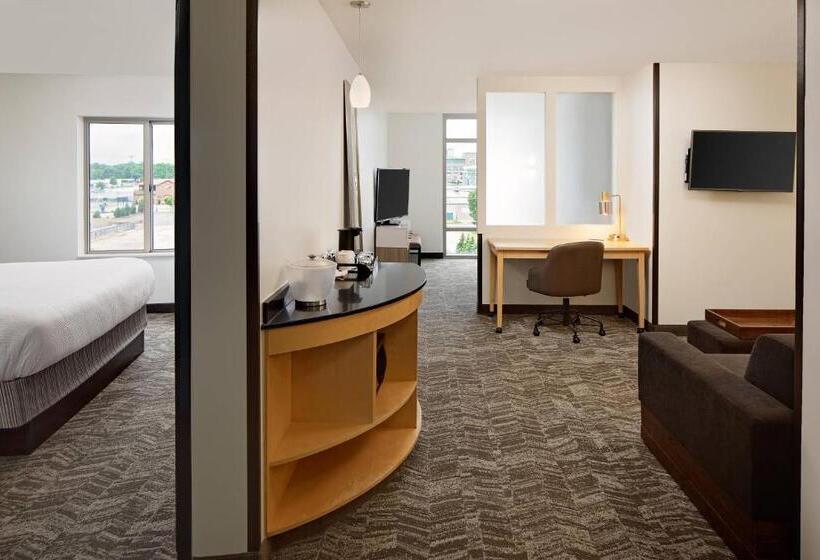جناح غرفتين نوم, Springhill Suites By Marriott Green Bay