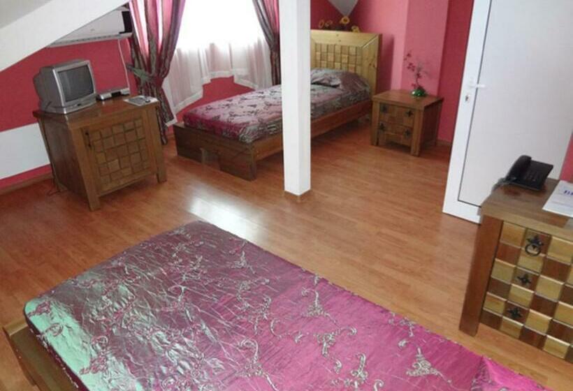 اتاق استاندارد, Vidin