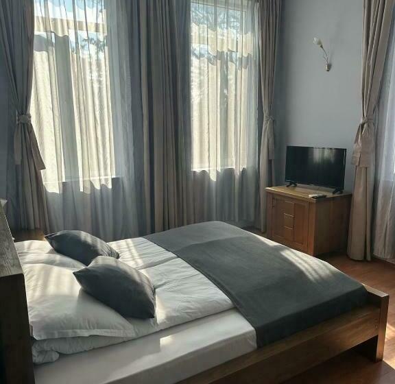 اتاق استاندارد, Vidin