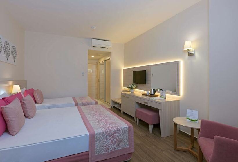 Номер Стандарт Трехместный, Can Garden Resort