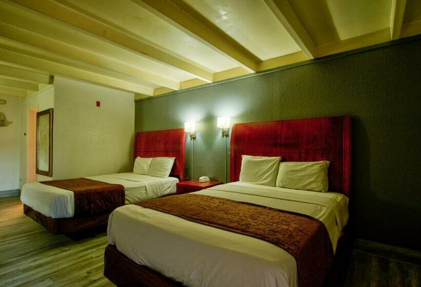 Pokój Standard, Clearwater