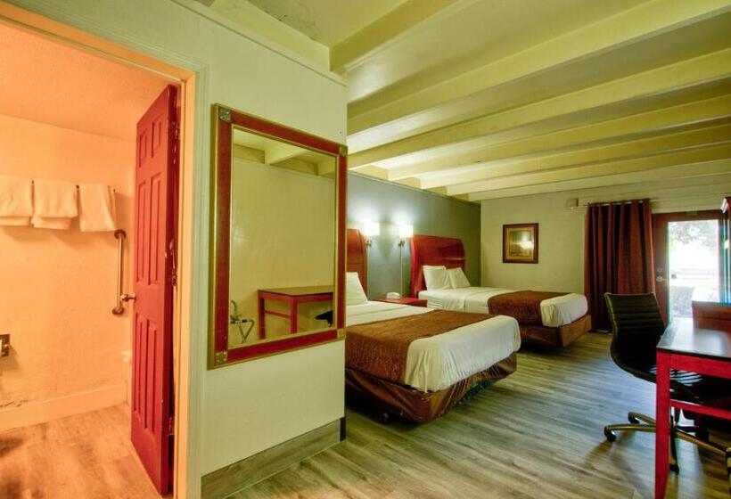 Pokój Standard, Clearwater