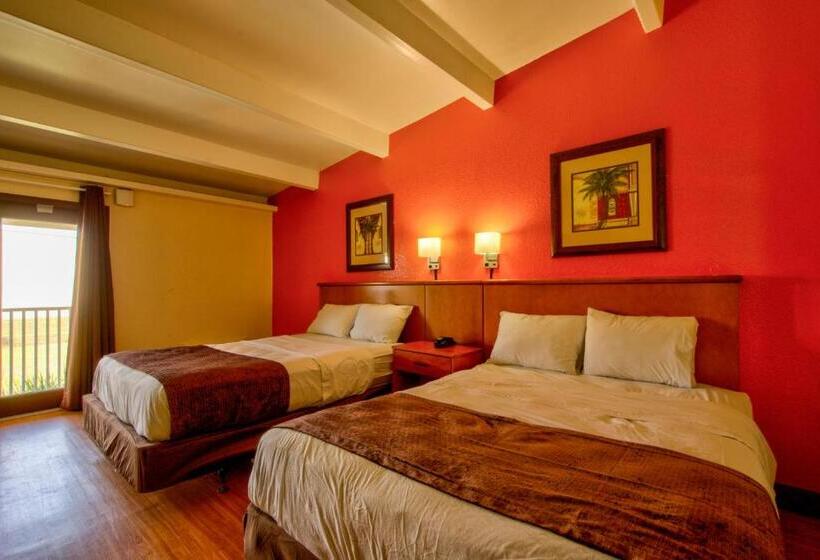 Pokój Deluxe, Clearwater