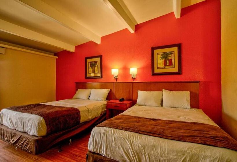 Pokój Deluxe, Clearwater