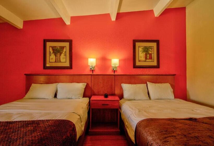 Pokój Deluxe, Clearwater