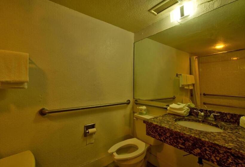 Deluxe Room Adapted for Disabled, Clearwater