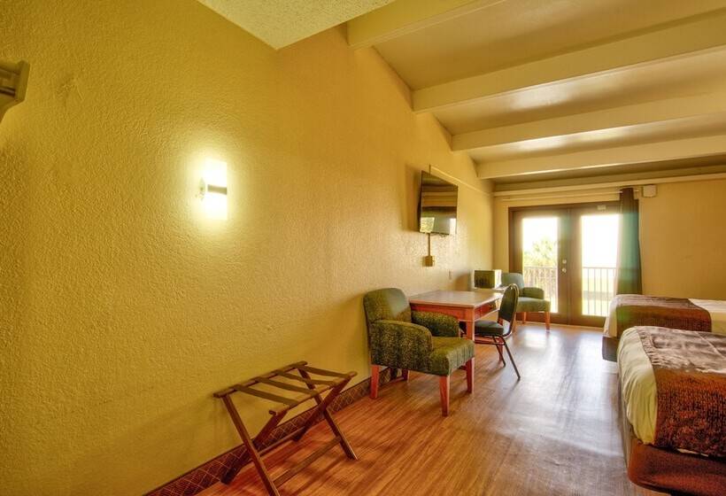 Pokój Deluxe, Clearwater