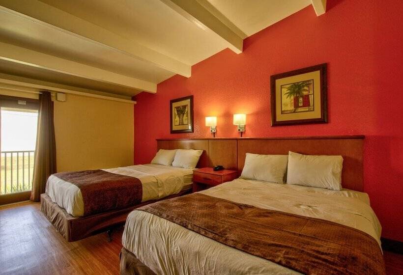 Pokój Deluxe, Clearwater