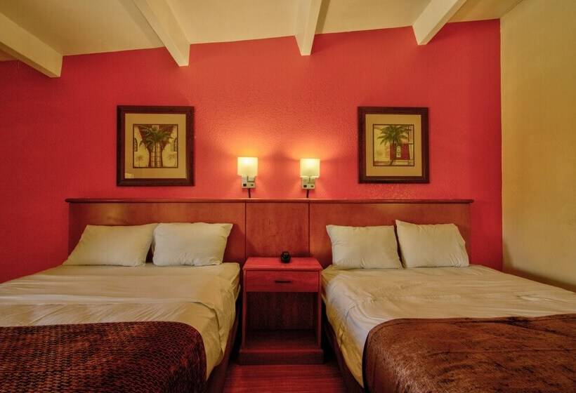 Pokój Deluxe, Clearwater