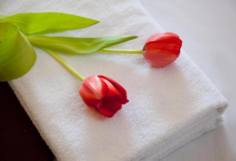 غرفة سوبيريور, Leonardo Royal Resort Eilat