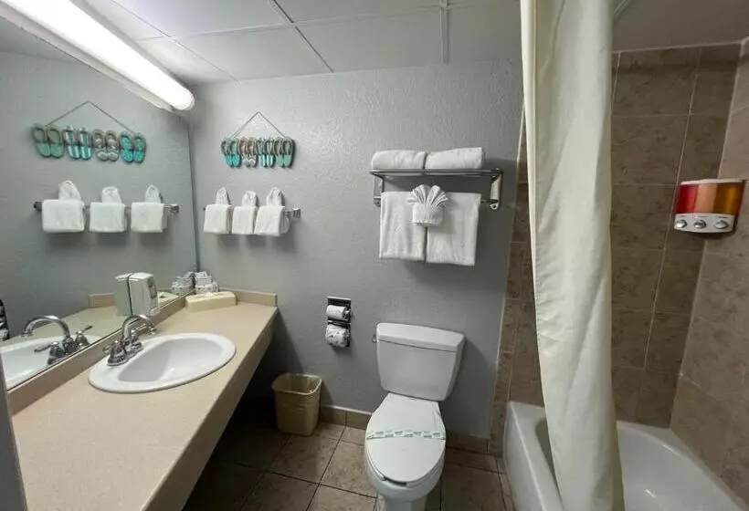 اتاق استاندارد با چشم‌انداز استخر, Pelican Point On Clearwater Beach