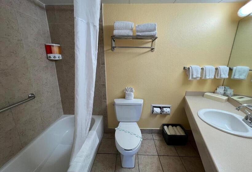 إستوديو قياسى, Pelican Point On Clearwater Beach