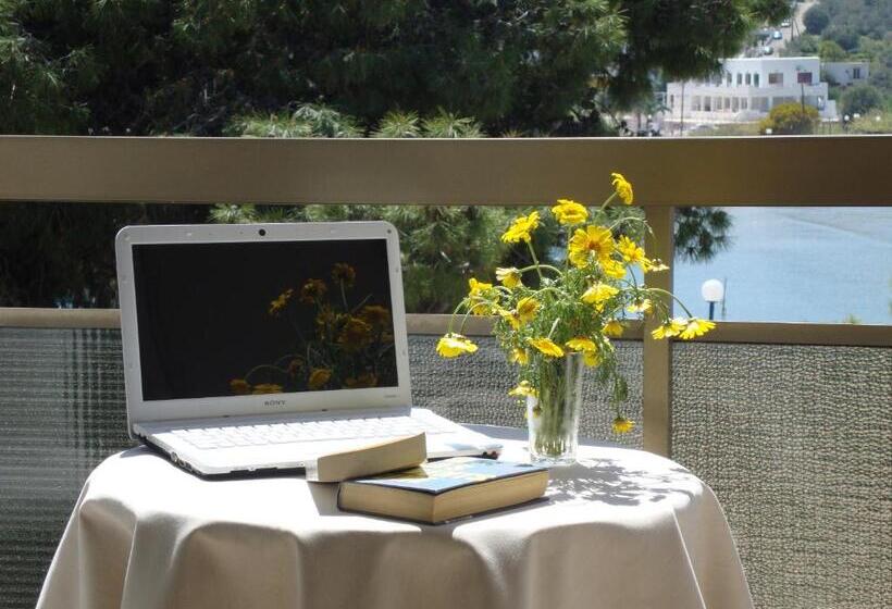 غرفة قياسية, Rachel