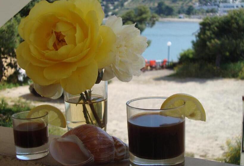 غرفة قياسية, Rachel