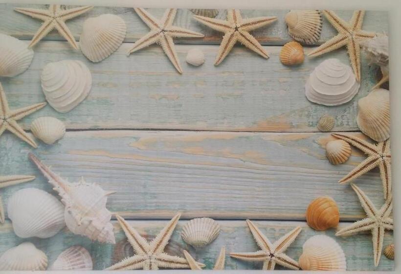 غرفة قياسية, Rachel