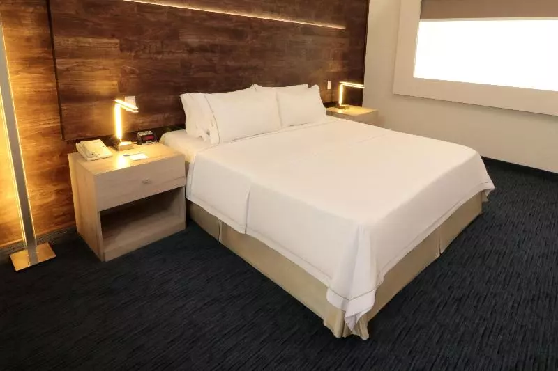 اتاق استاندارد با تخت بزرگ, Holiday Inn Express San Luis Potosí, An Ihg