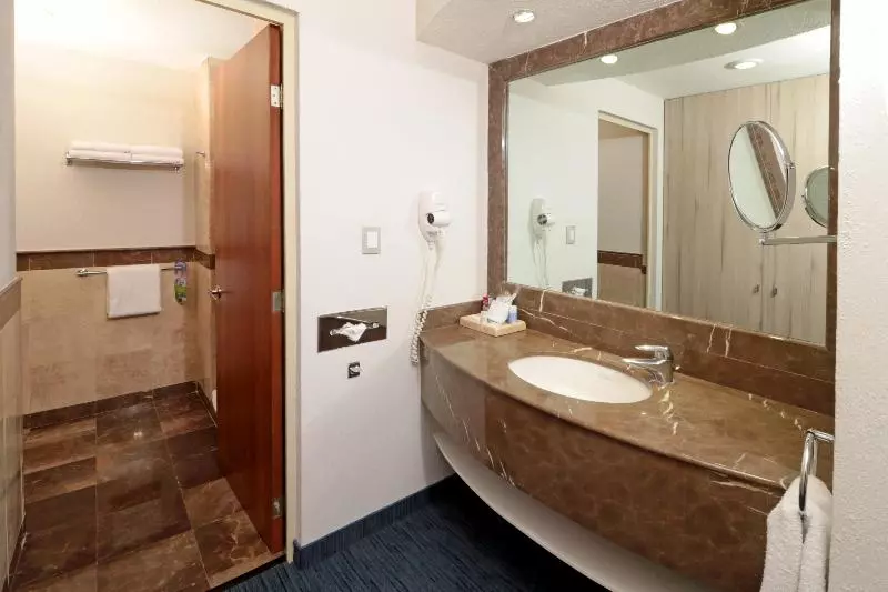 اتاق استاندارد با تخت بزرگ, Holiday Inn Express San Luis Potosí, An Ihg