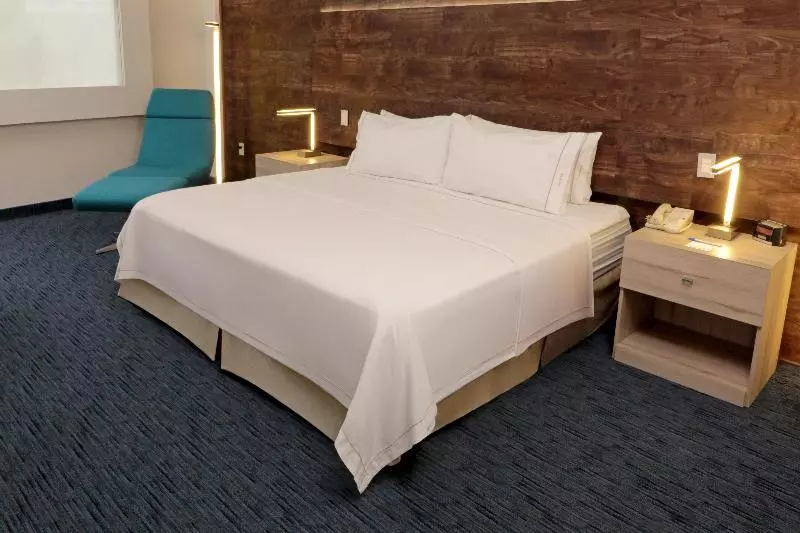 اتاق استاندارد با تخت بزرگ, Holiday Inn Express San Luis Potosí, An Ihg