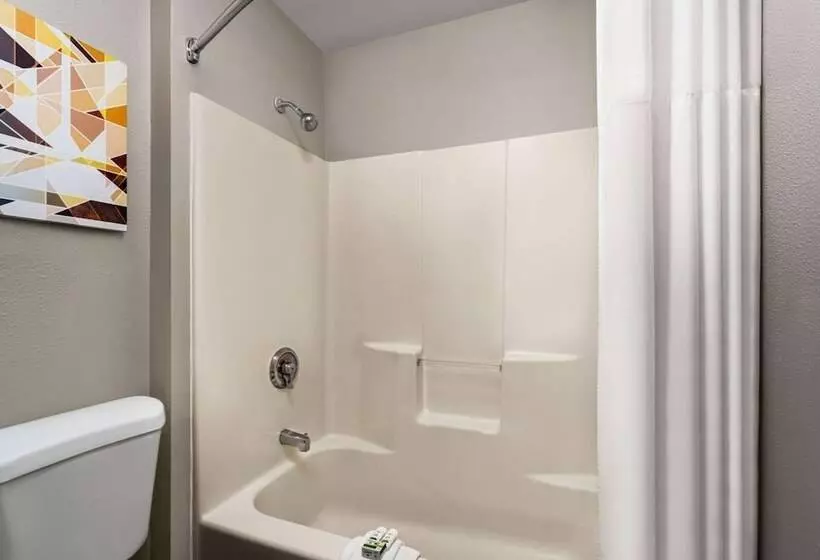 デラックススイート, La Quinta By Wyndham Chicago Tinley Park