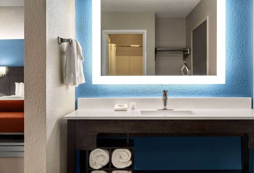 جناح ديلوكس, La Quinta By Wyndham Chicago Tinley Park