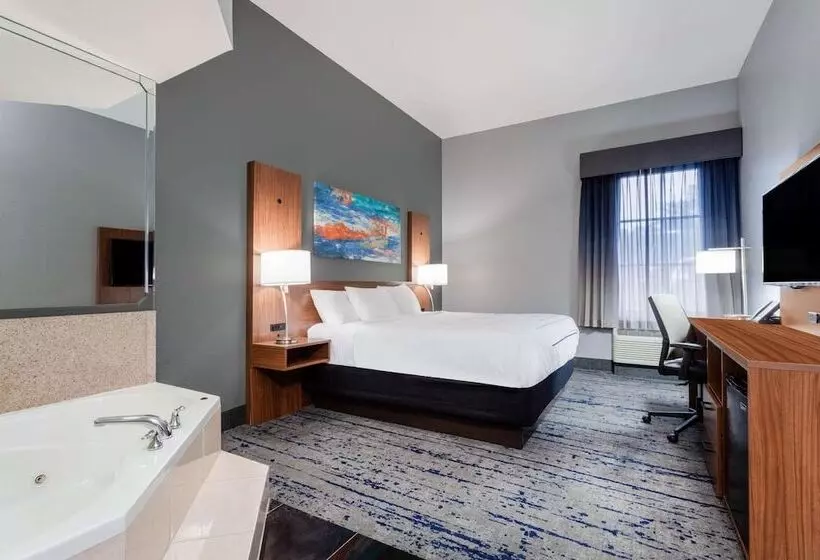 スーペリアスタジオ, La Quinta Inn & Suites By Wyndham St. Petersburg Northeast