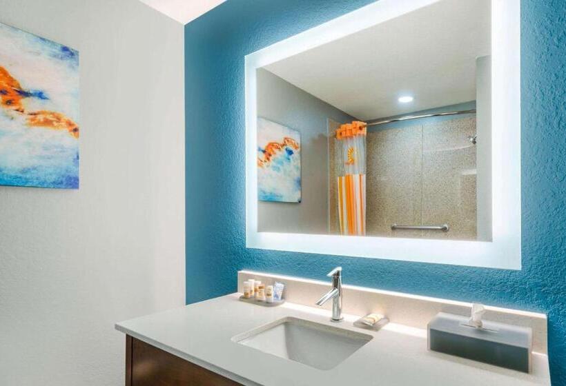 带大床的豪华间, La Quinta Inn & Suites By Wyndham St. Petersburg Northeast