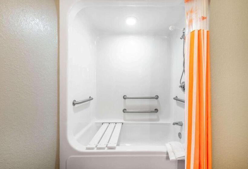 适合残疾人使用的标准间, La Quinta Inn & Suites By Wyndham St. Petersburg Northeast