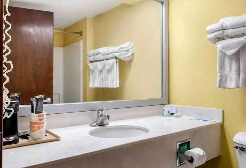 ２ダブルベッドのスタンダードルーム, Quality Inn High Point  Archdale