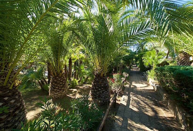 آپارتمان کلاسیک 1 خوابه, Residence Solemaremma