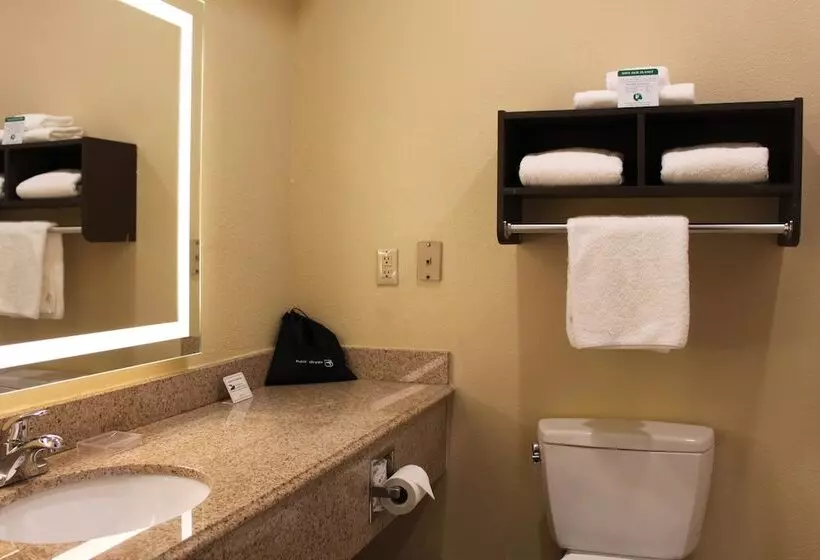 身障者適用スイートルーム, Best Western Plus North Houston Inn & Suites