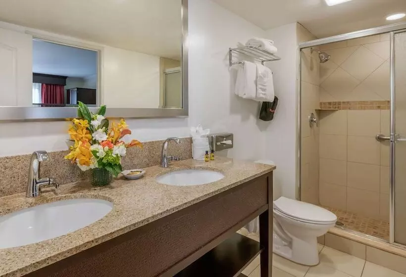スイート, Best Western Plus Palm Beach Gardens Hotel & Suites And Conference Ct