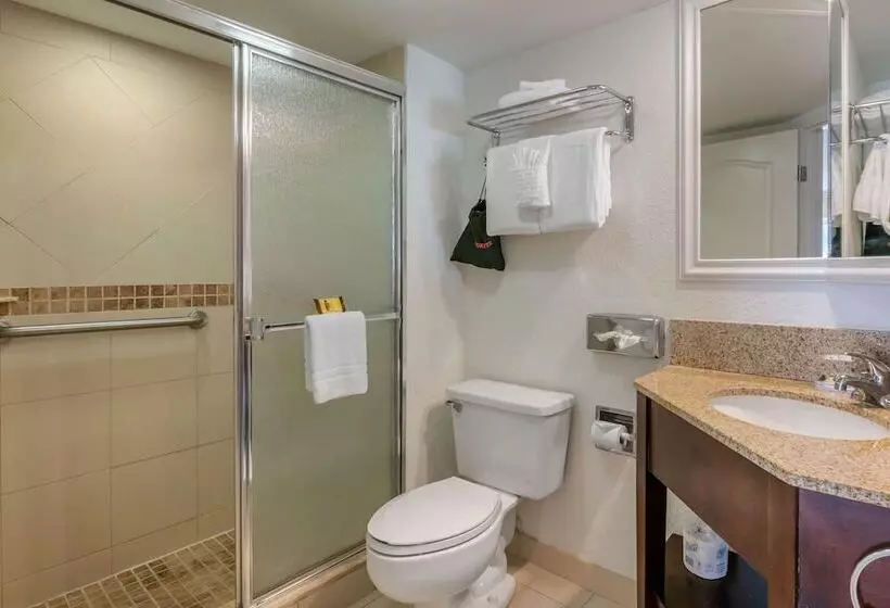 スイート, Best Western Plus Palm Beach Gardens Hotel & Suites And Conference Ct