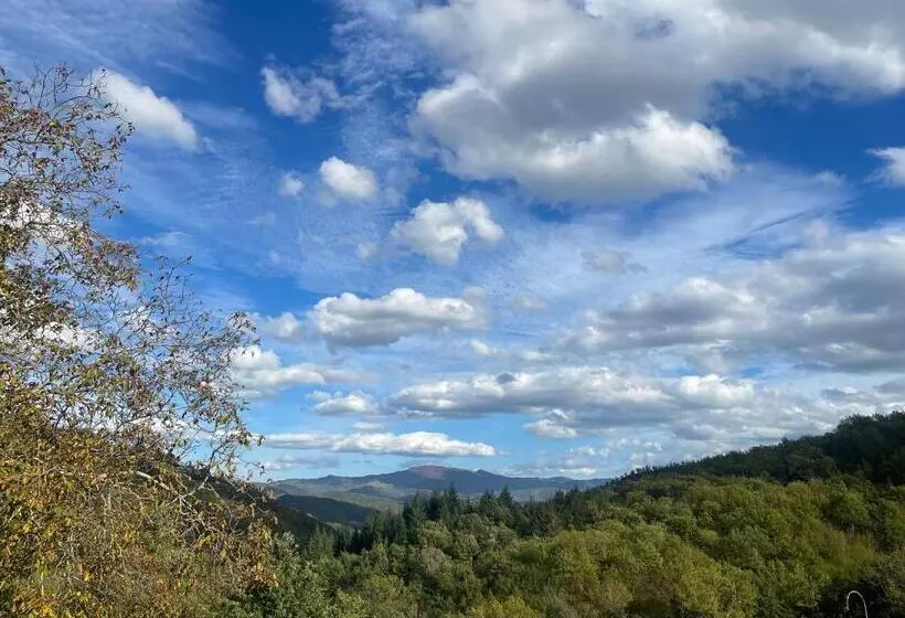 スタンダードルーム, Bio Agriturismo Il Vigno