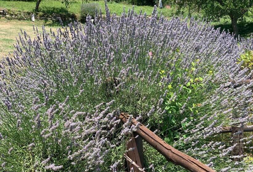 标准间, Bio Agriturismo Il Vigno