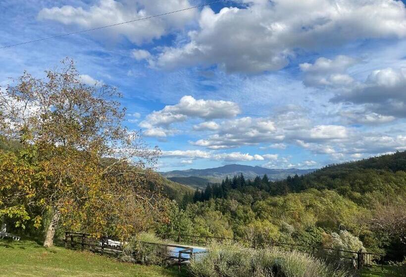 Номер Стандарт, Bio Agriturismo Il Vigno
