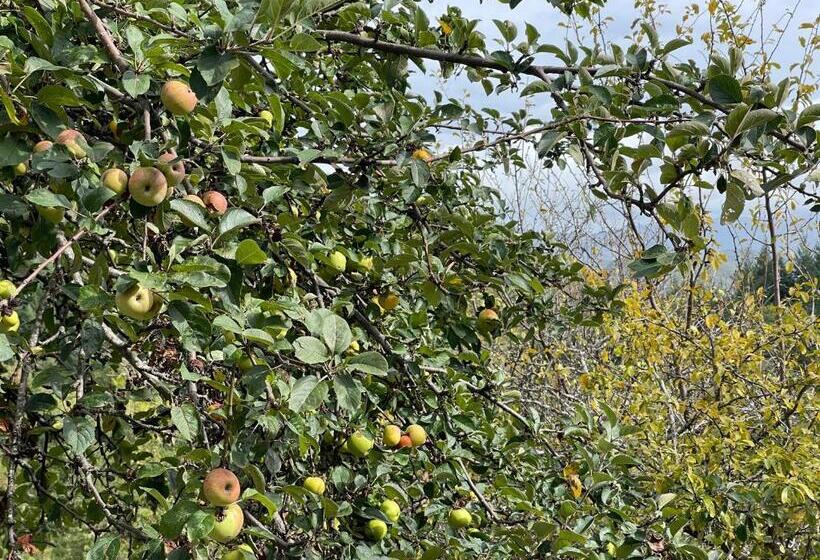 标准间, Bio Agriturismo Il Vigno