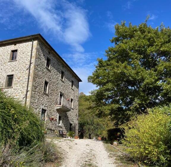 Люкс, Bio Agriturismo Il Vigno