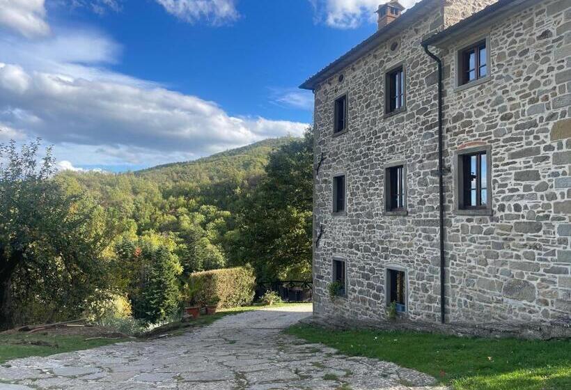 套房, Bio Agriturismo Il Vigno
