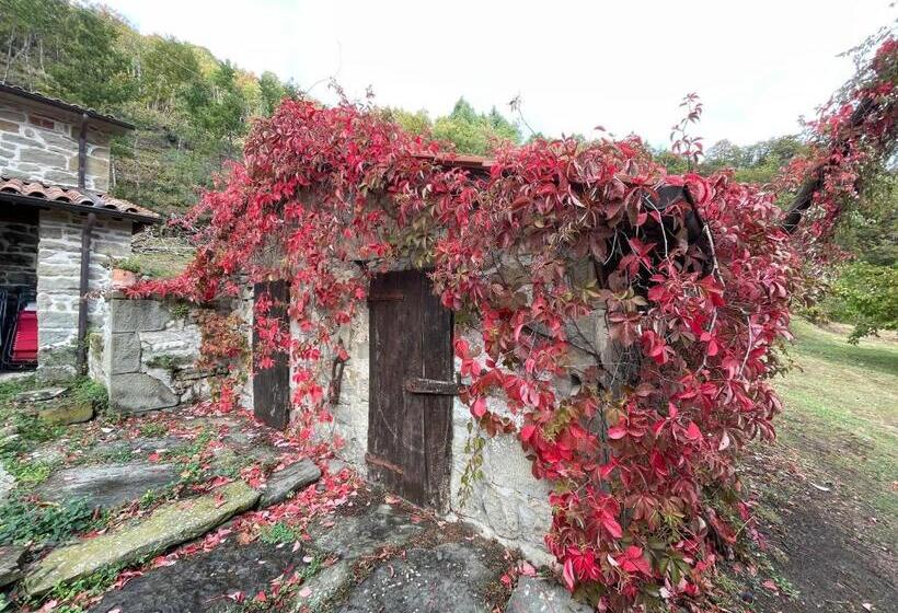 Люкс, Bio Agriturismo Il Vigno