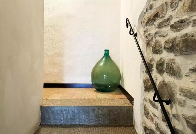 スタンダードスタジオ, Bio Agriturismo Il Vigno