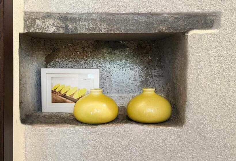 标准工作室, Bio Agriturismo Il Vigno