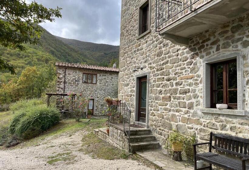 高级套房, Bio Agriturismo Il Vigno