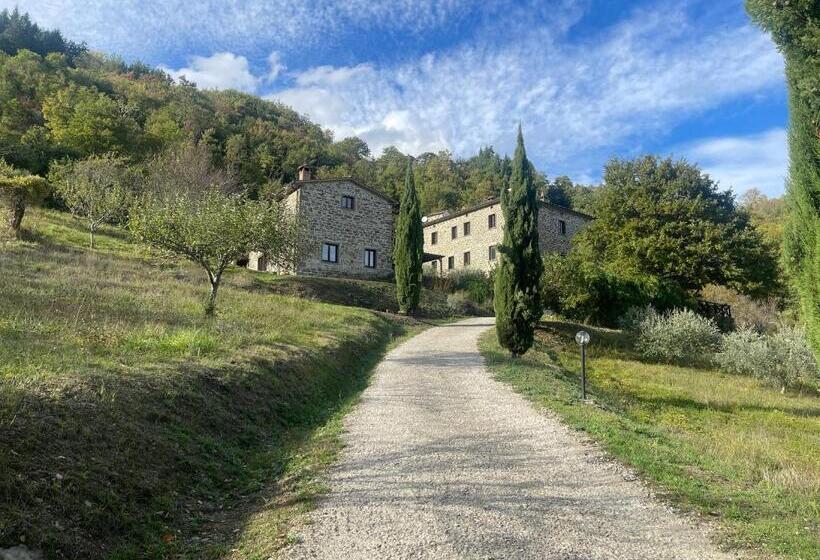 Апартаменты 1 Спальня Вид на Бассейн, Bio Agriturismo Il Vigno