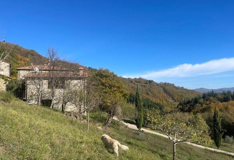 Апартаменты 1 Спальня Вид на Бассейн, Bio Agriturismo Il Vigno