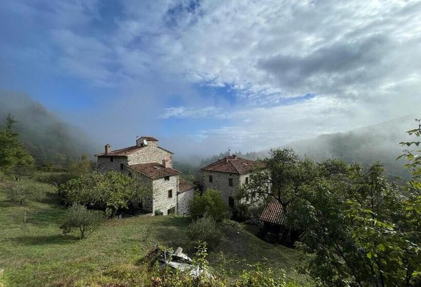 带1个卧室带泳池的公寓, Bio Agriturismo Il Vigno