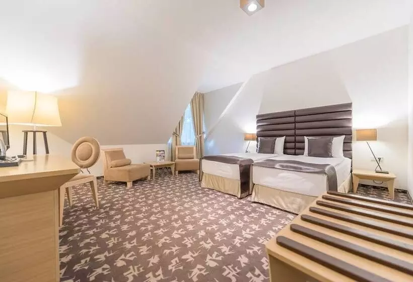 スーペリアールーム, Buda Castle Hotel Budapest