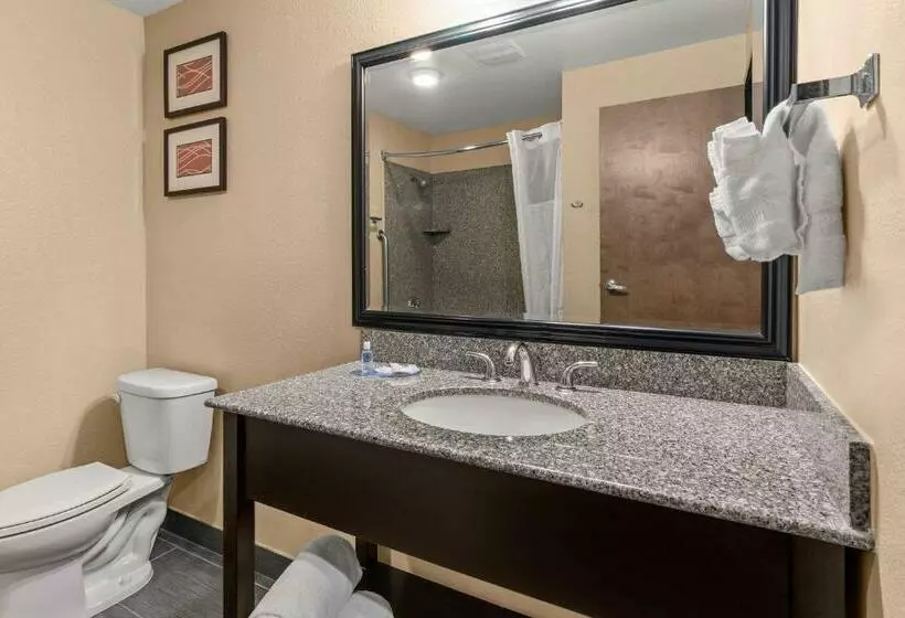 キングサイズベッドのスタンダードルーム, Comfort Inn & Suites Beaverton   Portland West