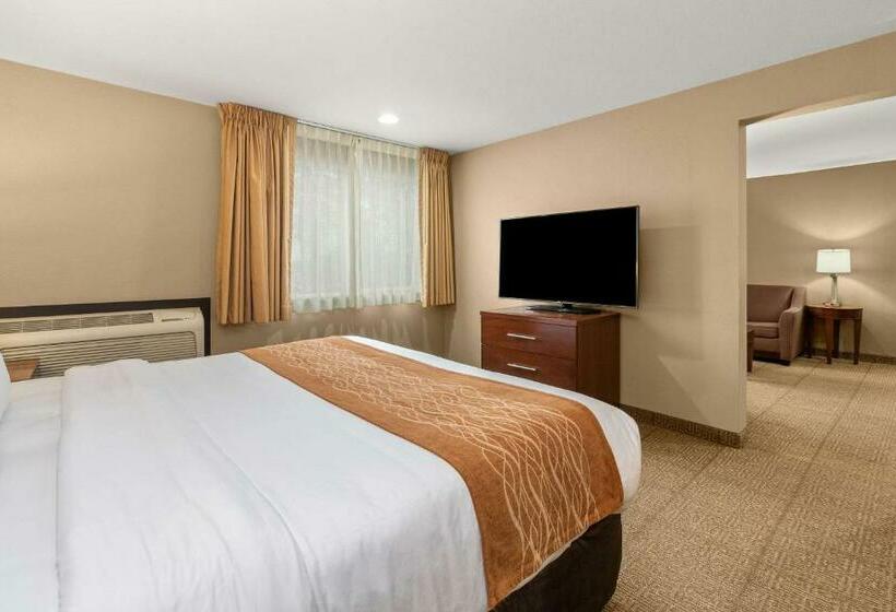 غرفة قياسية سرير كينج, Comfort Inn & Suites Beaverton   Portland West